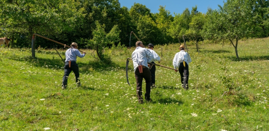 Se organizează Clacă de coasă pe Valea Izei