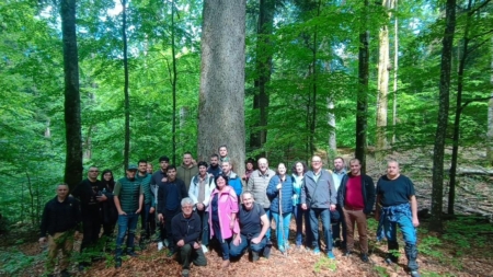 Shinrin-Yoku sau o baie de pădure la Băiuț