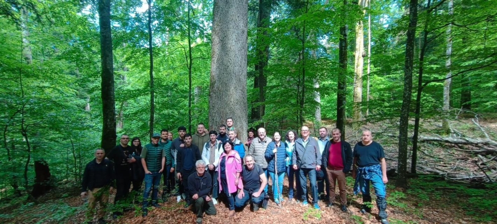 Shinrin-Yoku sau o baie de pădure la Băiuț