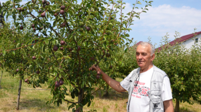 Prof. Gheorghe Sava din Fărcașa – 39 de generații de elevi, o viață cu rost și o pasiune neobosită pentru muncă