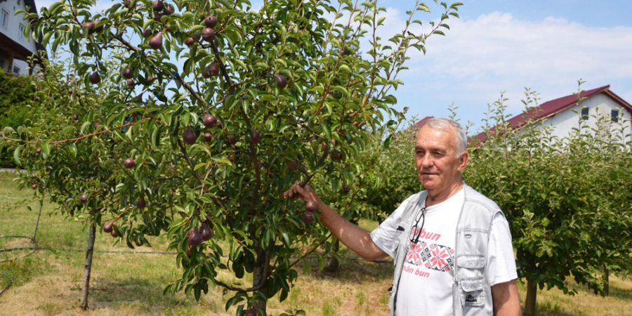 Prof. Gheorghe Sava din Fărcașa – 39 de generații de elevi, o viață cu rost și o pasiune neobosită pentru muncă
