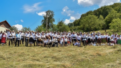 Tradiția renaște: La Sălnița s-a organizat clacă la coasă