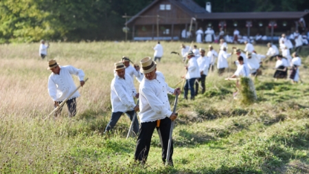 „Claca la coasă” va avea loc săptămâna aceasta, la Groși