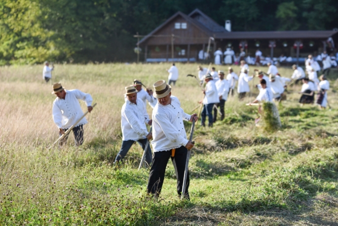 „Claca la coasă” va avea loc săptămâna aceasta, la Groși