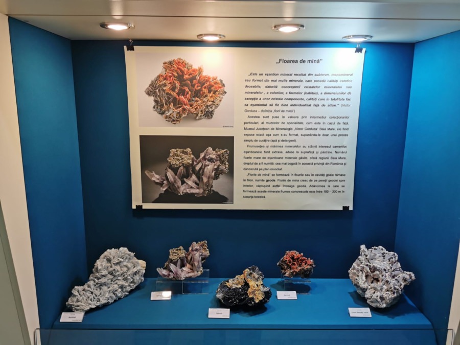 Comorile pământului din Maramureș pot fi admirate la Muzeul Județean de Mineralogie „Victor Gorduza” Baia Mare