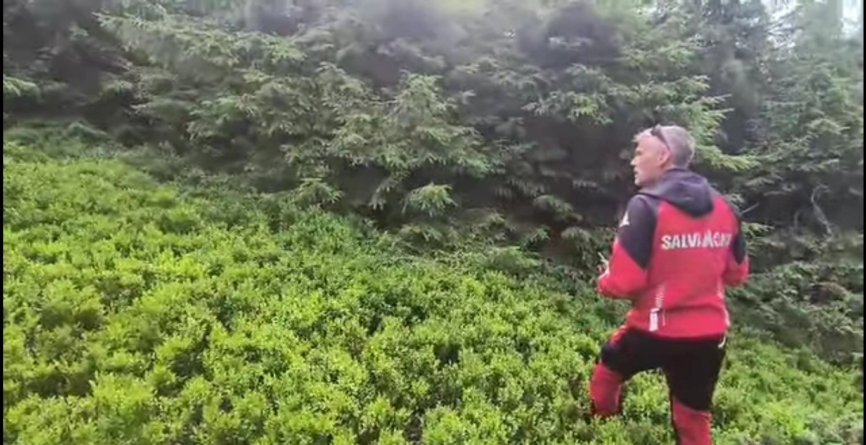 Salvat după ce a rătăcit opt zile prin munți, supraviețuind cu un baton proteic și apă din pâraie