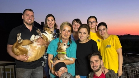 Campania de sterilizări gratuite din Groși a înregistrat rezultate remarcabile