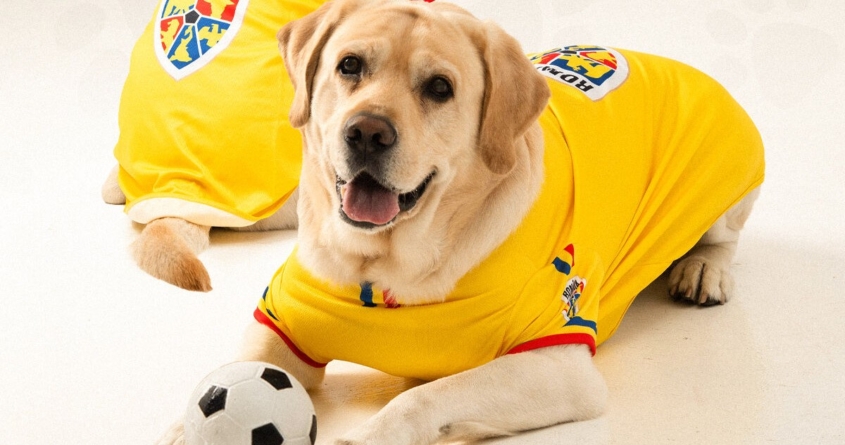 FRF lansează echipamentul tricolor pentru… câini