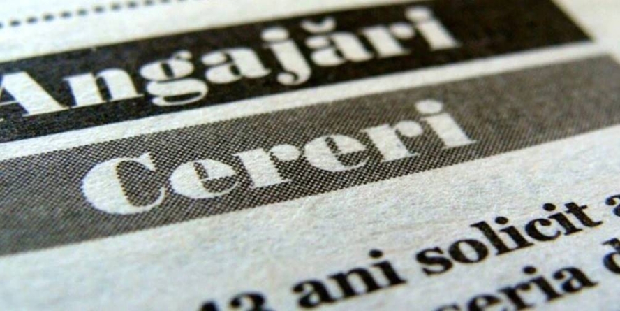 ANOFM: peste 254.000 de șomeri în România. Creștere ușoară, dar semnificativă