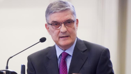 Daniel Dăianu : Nu există motiv de panică