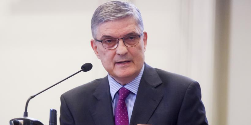 Daniel Dăianu : Nu există motiv de panică