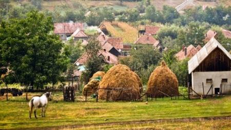 Atenție! Cei care stau la curte riscă amenzi mai mari pentru deșeuri