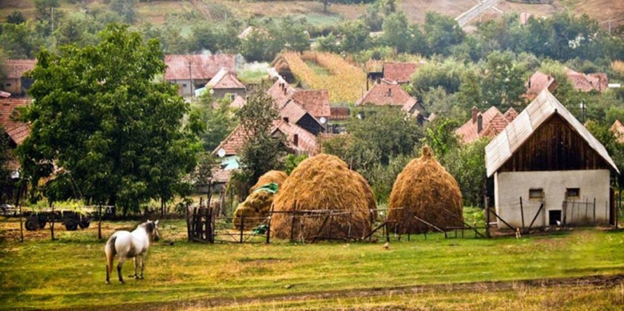 Atenție! Cei care stau la curte riscă amenzi mai mari pentru deșeuri