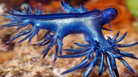 Pericol pe plajele din Spania – au fost închise zone turistice întregi