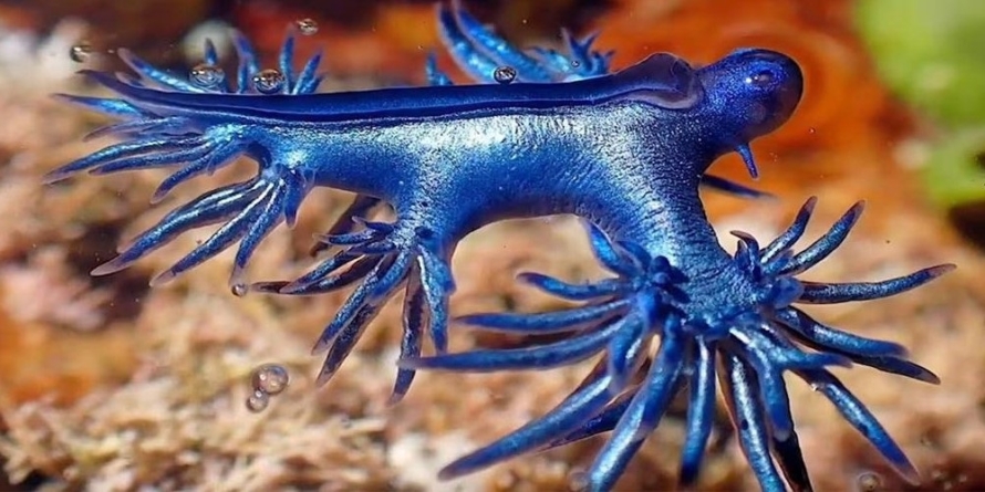 Pericol pe plajele din Spania – au fost închise zone turistice întregi