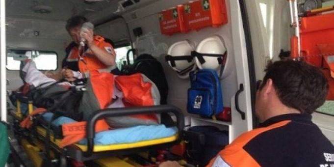 Momente de panică pentru o sătmăreancă atacată de albine