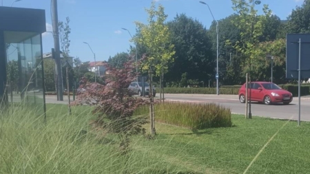 Prognoză meteo Maramureș – 9 august 2025