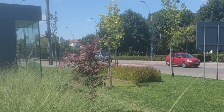 Prognoză meteo Maramureș – 9 august 2025