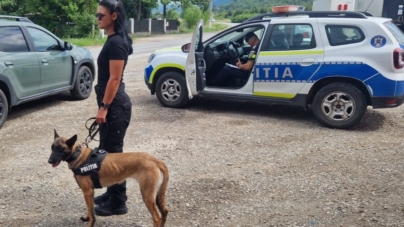 Eroi cu patru lăbuțe: Cei nouă câini ai Poliției Maramureș, parteneri de nădejde în misiuni și prieteni de viață