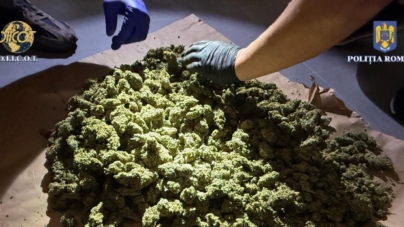 Captură de 2,5 kg de canabis în Baia Mare. Două persoane au fost arestate
