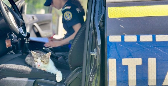Polițiștii de la Protecția Animalelor au mers să salveze un câine și au câștigat prietenia unei pisici