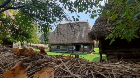 Intrare gratuită pentru seniori la Muzeul Satului din Baia Mare de Ziua Internaţională a Persoanelor Vârstnice