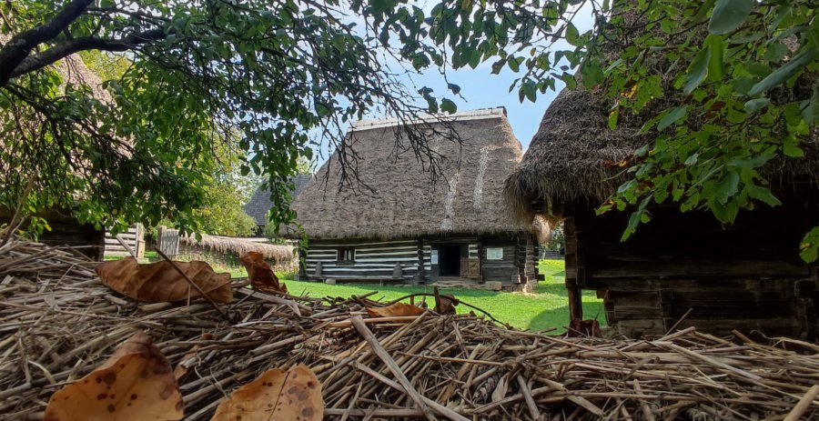 Intrare gratuită pentru seniori la Muzeul Satului din Baia Mare de Ziua Internaţională a Persoanelor Vârstnice