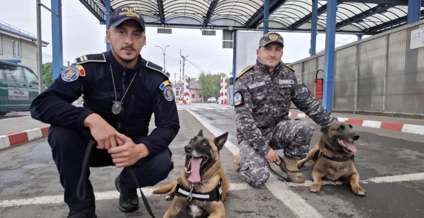 Echipă canină la frontieră: Edak și Ace, aliați de încredere în combaterea infracționalității transfrontaliere