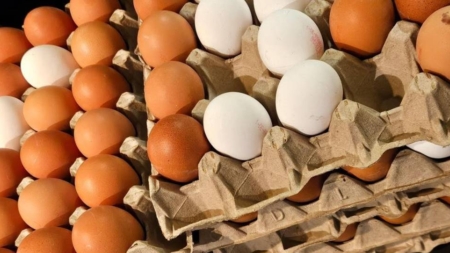 Alertă alimentară – loturi de ouă bio au fost retrase din magazine