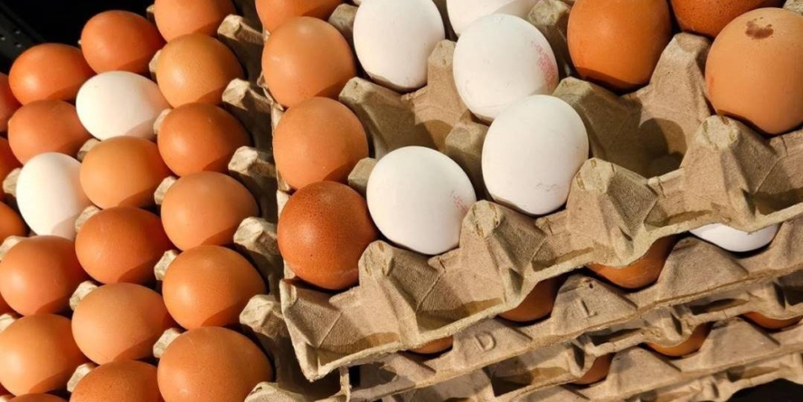 Alertă alimentară – loturi de ouă bio au fost retrase din magazine