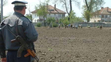 Să vezi și să nu crezi – salariu plus 15% din pensie pentru foștii gardieni