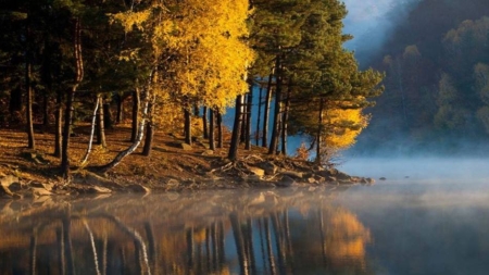 Echinocțiul de toamnă 2025 și începutul toamnei astronomice