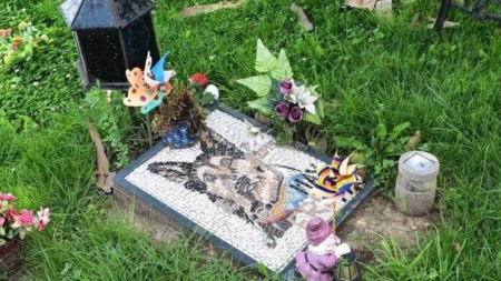 Cluj-Napoca va avea primul cimitir pentru animale de companie