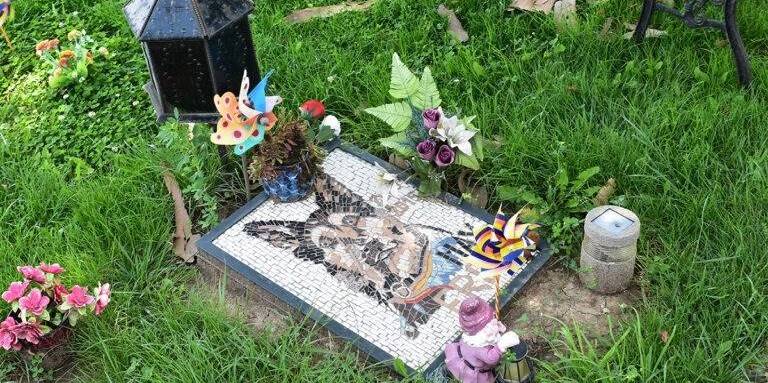 Cluj-Napoca va avea primul cimitir pentru animale de companie