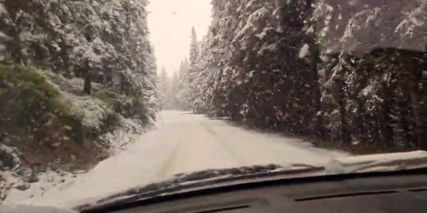 Temperaturile scad și ninsorile sunt deja semnalate în Pasul Prislop