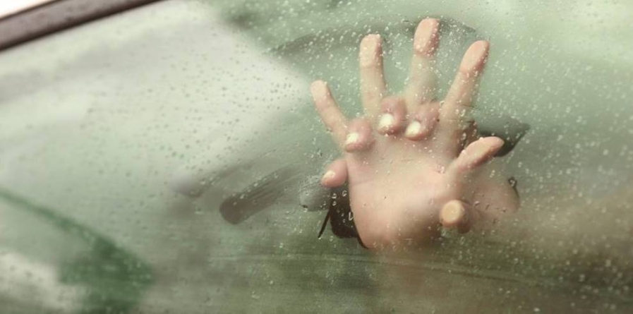 Dragoste pe patru roți: Moisei, martor la „scene fierbinți” în văzul tuturor