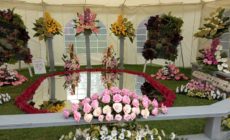 Expo Flora ajunge la ediția 41; Vezi programul îndrăgitei expoziții