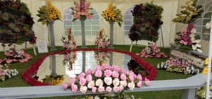 Expo Flora ajunge la ediția 41; Vezi programul îndrăgitei expoziții