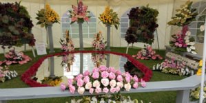 Expo Flora ajunge la ediția 41; Vezi programul îndrăgitei expoziții