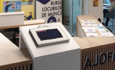 Cum mai stăm cu șomajul în Maramureș