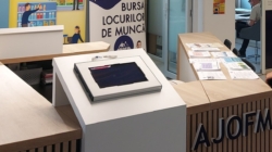 Cum mai stăm cu șomajul în Maramureș