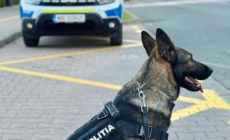 Acțiuni ale polițiștilor în patru localități maramureșene