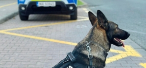 Acțiuni ale polițiștilor în patru localități maramureșene