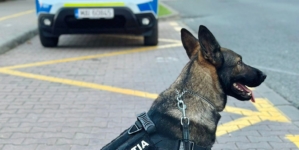 Acțiuni ale polițiștilor în patru localități maramureșene