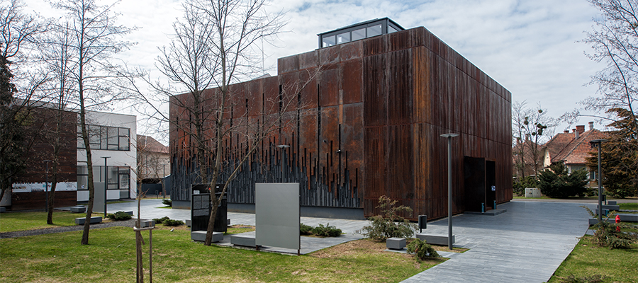 Cursuri de arte vizuale pentru copii și adulți, la Colonia Pictorilor din Baia Mare