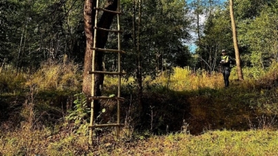 Percheziții în Maramureș într-un dosar de braconaj și nerespectare a regimului armelor și munițiilor