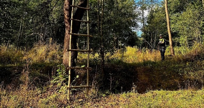 Percheziții în Maramureș într-un dosar de braconaj și nerespectare a regimului armelor și munițiilor