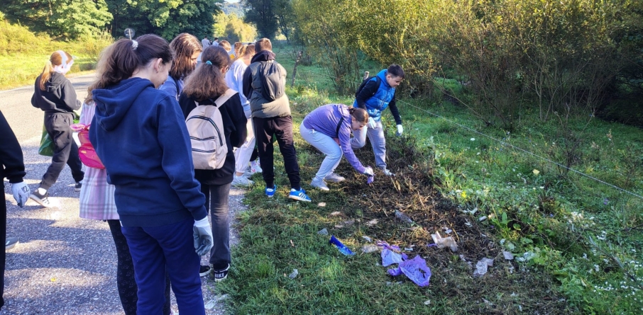 Elevii Liceului ”Petru Rareș” din Târgu Lăpuș, participanți la acțiunea ”Let’s do it, Romania!”