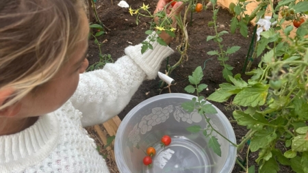 Activități de grădinărit pentru copiii din mediile defavorizate