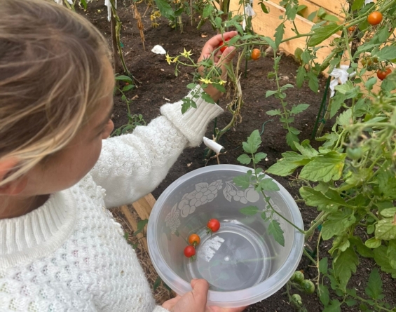 Activități de grădinărit pentru copiii din mediile defavorizate